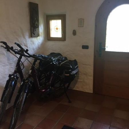 Ferienwohnung Untersbergblick Bad Reichenhall Exteriör bild